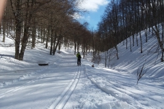 20190209_114151
