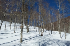 20190209_115628