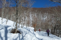 20190209_115731