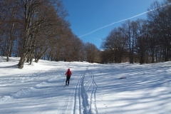 20190209_120717
