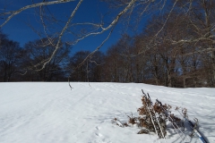 20190209_132248