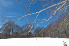 20190209_132254