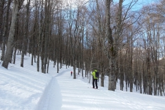 20190209_134320