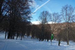 20190209_140235
