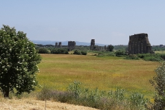 IMG_20220522_145336