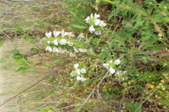IMG_20220522_175648