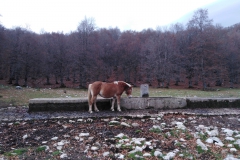 IMG_20221112_100342