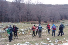 IMG_20221112_102527