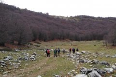 IMG_20221112_102612