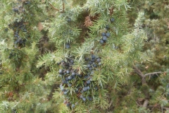 P9265639
