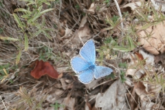P9265645