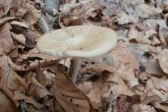 P9265663