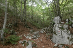 P9265673