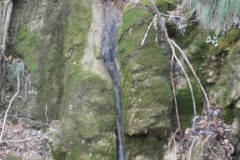 P9265677