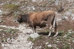 P9275732