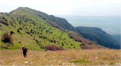 monte etra