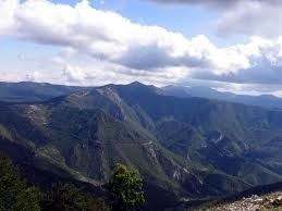 tarino