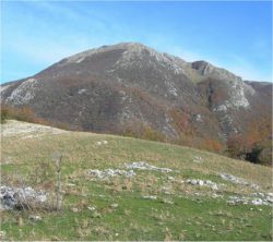 cima d'arme