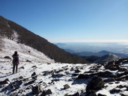 Monte Semprevisa